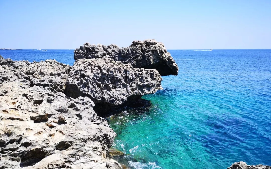 這個小國家，憑啥比英美澳加等大國還要貴，卻依然那么多人選擇它？